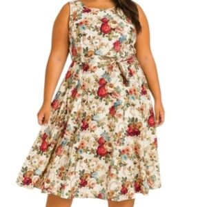 Floral Cream Cotton Blue Sleeveless Red Fit Flare Green Dress 2X